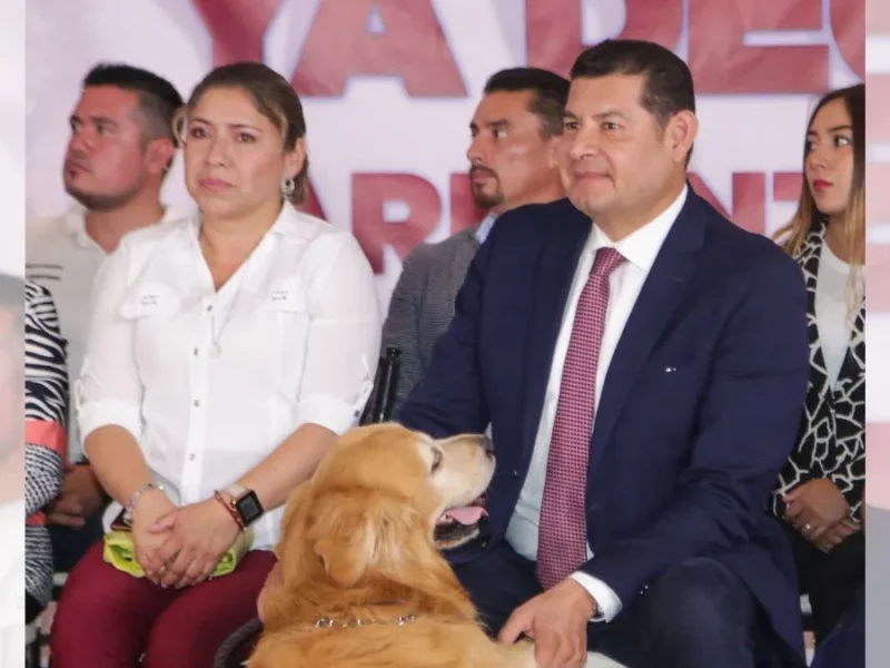 Armenta promete impulsar reforma para castigar venta de mascotas en vía pública