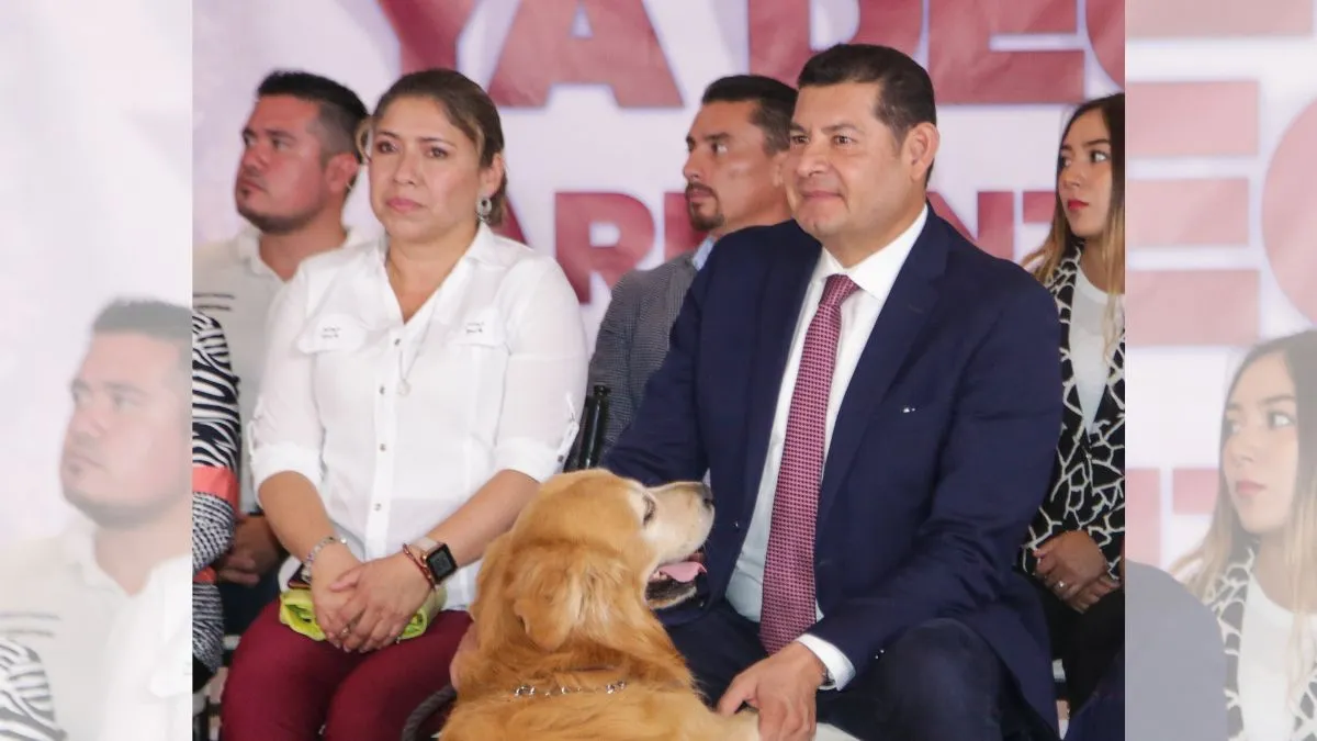 Armenta promete impulsar reforma para castigar venta de mascotas en vía pública