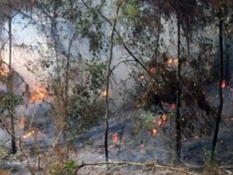 Comuneros de Mitla urgen apoyo para apagar incendio forestal; 5 mil has afectadas