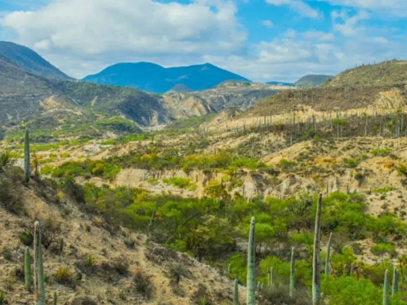 Tras análisis, Semarnat rechaza residencias Valle Dorado en reserva de Tehuacán