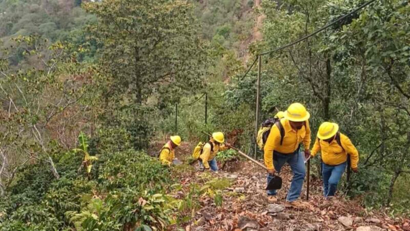 ¡Sin fuego! Puebla logra apagar incendios forestales en 3 municipios