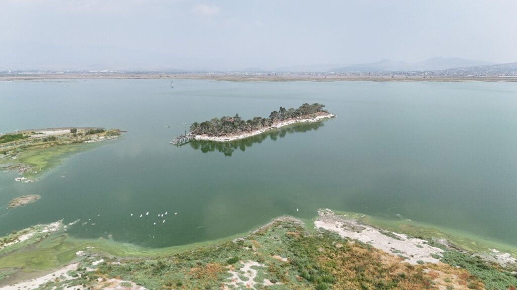 Lago de Texcoco