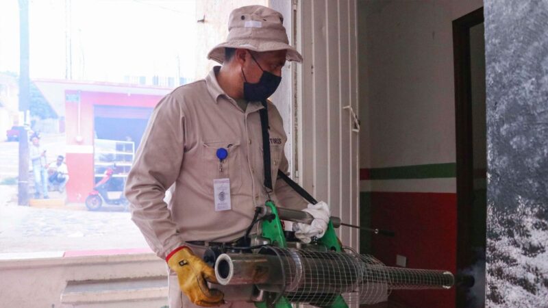 En Puebla, reportan 8 casos de dengue al día; van 2,221 en 2024