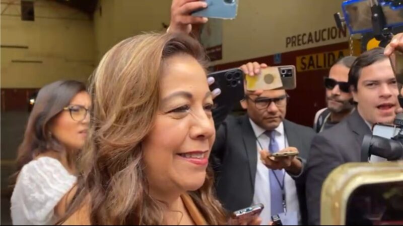 Legal, reasignación de 3 "pluris" a Morena por Tepjf: Artemisa