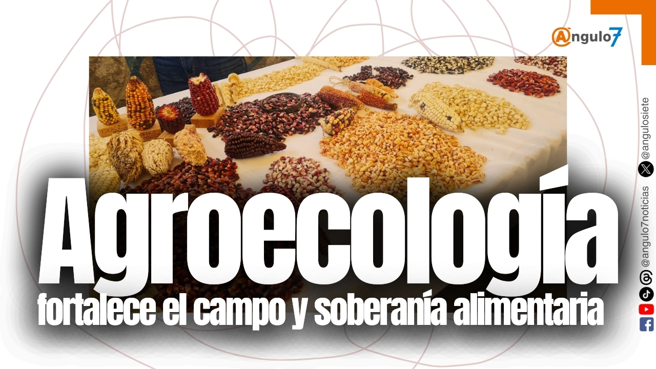 Cosechando Soberanía impulsa agroecología para fortalecer el campo mexicano