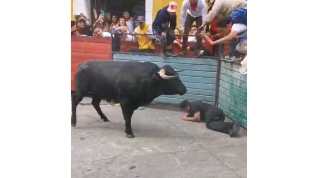 Toro de Lidia hiriendo a ciudadano de Puebla durante Huamantlada 2025