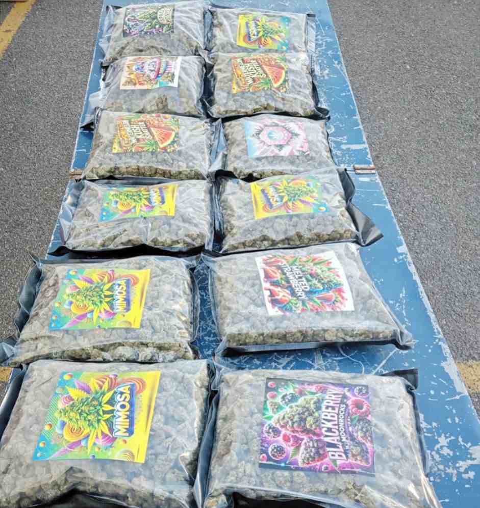 La SSP detiene a presunto narcomenudista en Coronango: 4.8 kg de marihuana