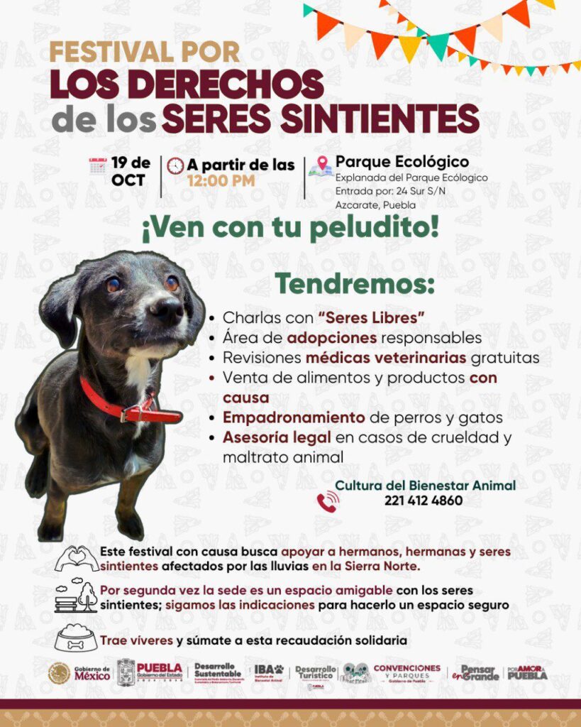 Poster oficial del Festival de los Seres Sintientes en Puebla