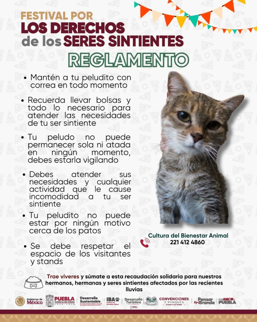 Reglamento oficial del Festival de Seres Sintientes en Puebla