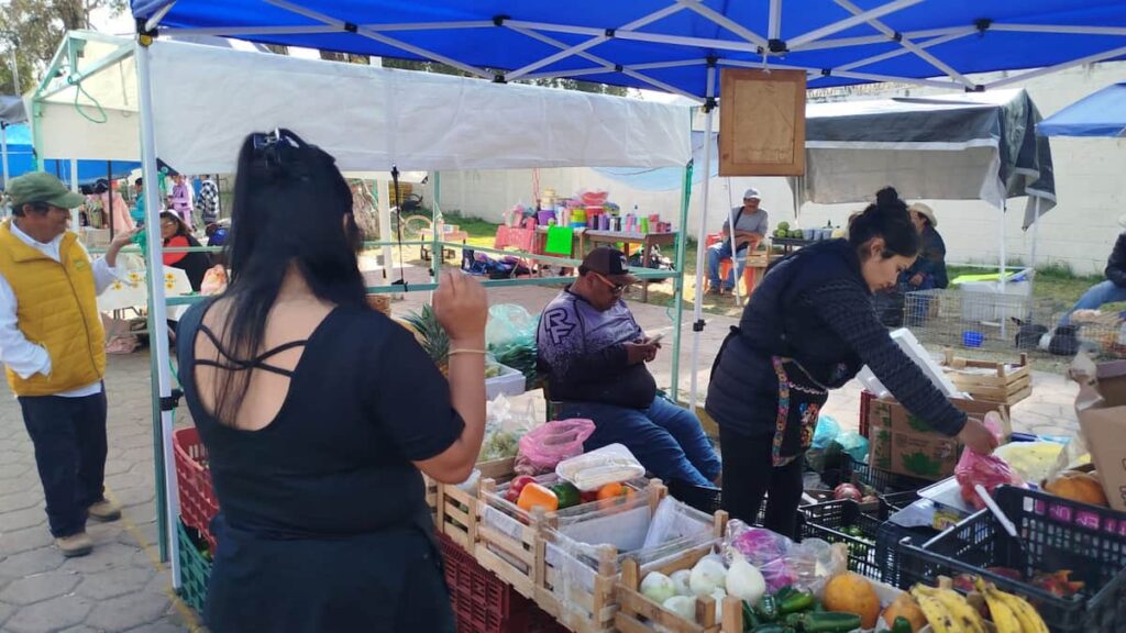 Productores de Libres piden ampliar capacitaciones y alcance de Sembrando Vida