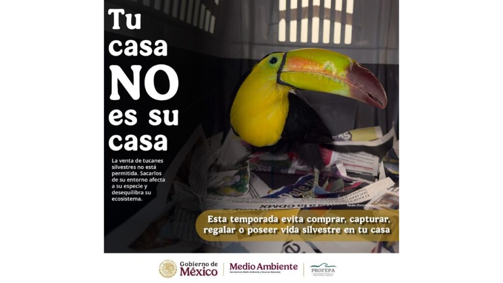 Campaña publicitaria de Profepa "Tu casa no es su casa"