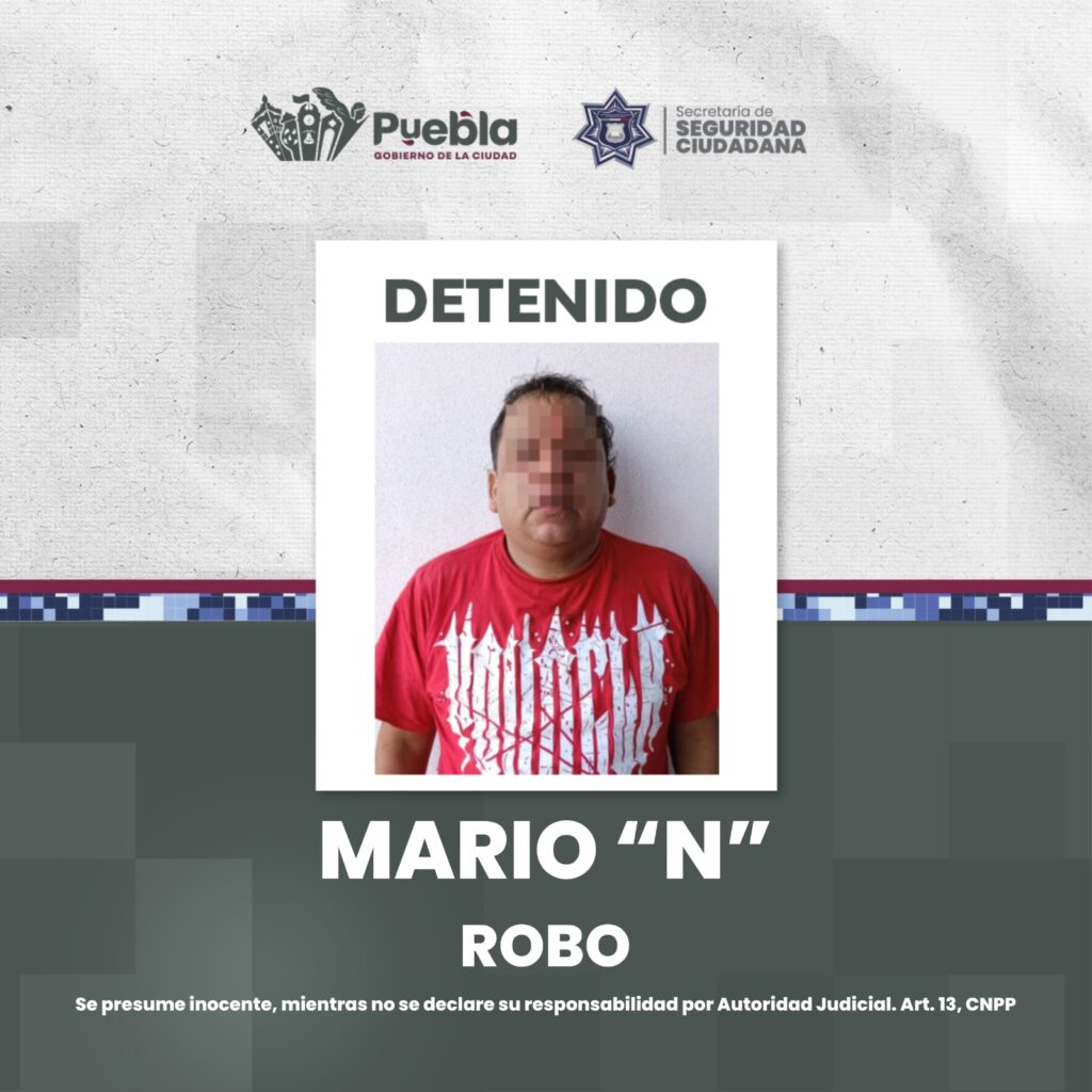 Mario N. detenido por robo de vehículo
