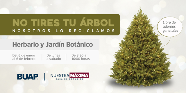 Dona tu árbol de Navidad en BUAP para realizar composta; te decimos horarios