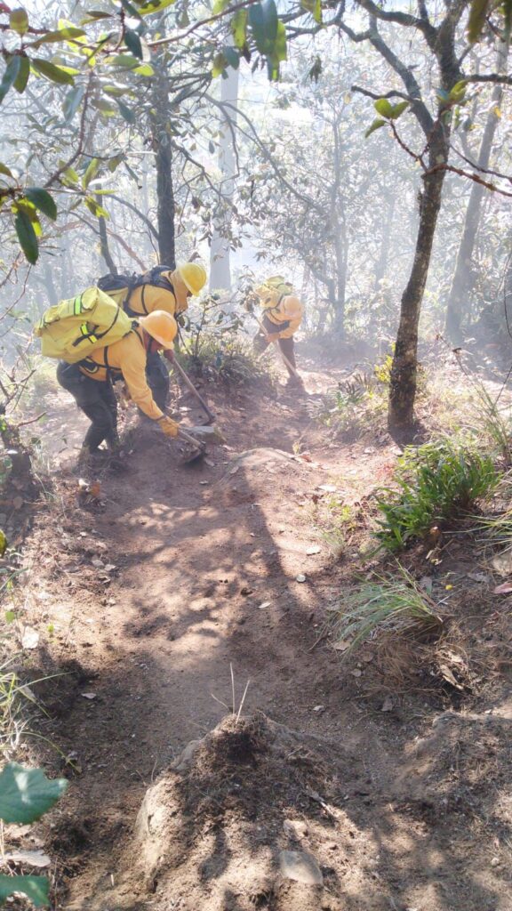 PC de Puebla sofoca incendio forestal en Chilchotla; dañó 10 hectáreas