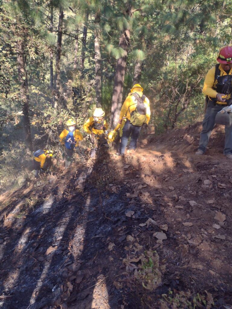 PC de Puebla sofoca incendio forestal en Chilchotla; dañó 10 hectáreas