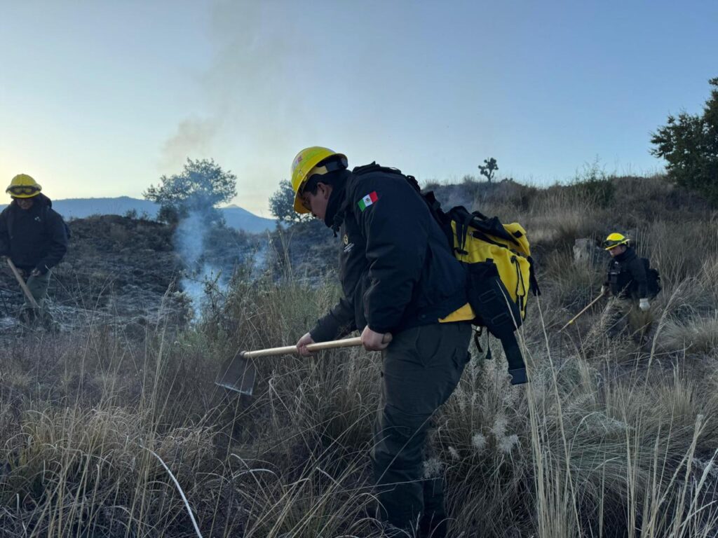 Se registran 4 incendios forestales en municipios de Puebla; dañan 20 hectáreas