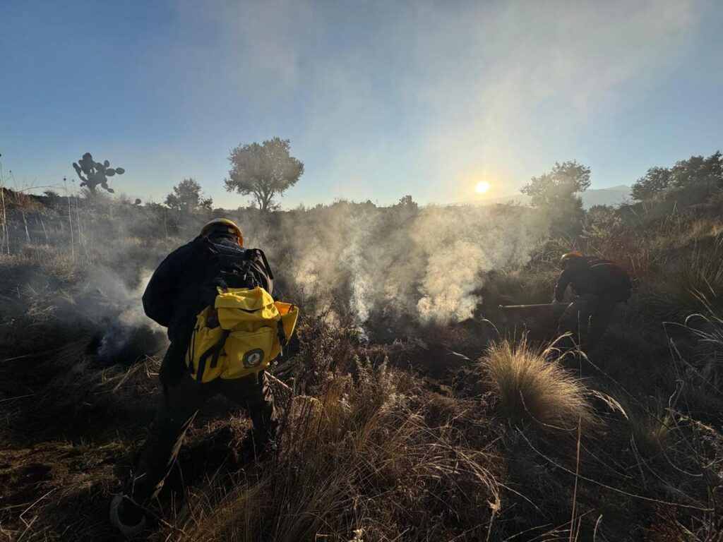 Se registran 4 incendios forestales en municipios de Puebla; dañan 20 hectáreas