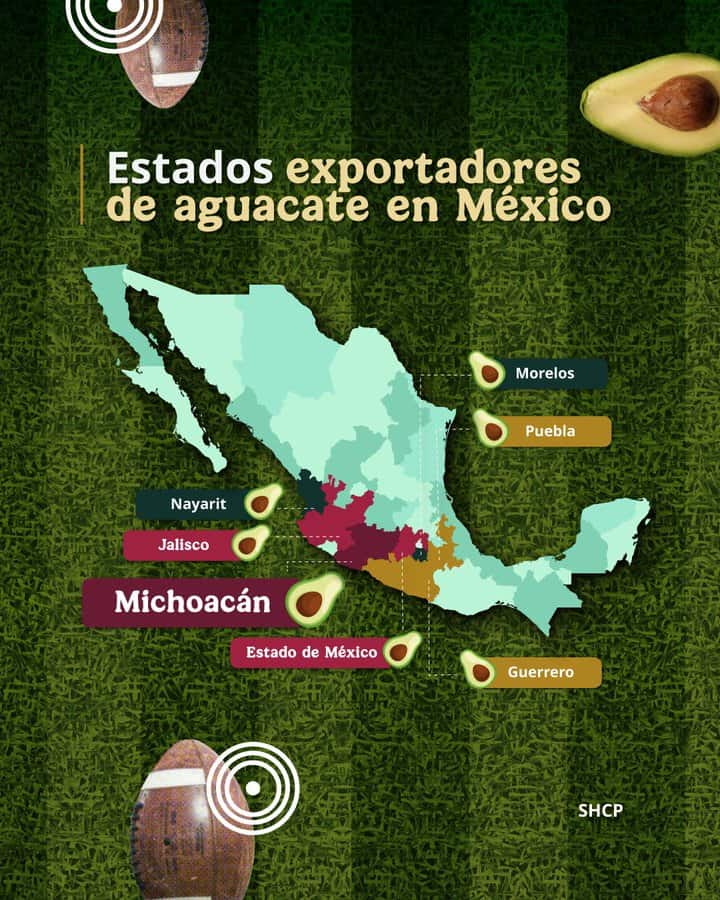 Lista de los estados con mayor exportación de aguacate en México