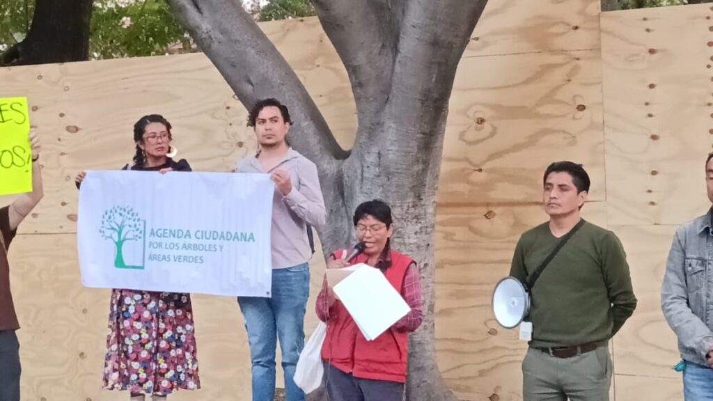 Ambientalistas se reúnen con gobierno por cablebús; aún falta transparencia, acusan
