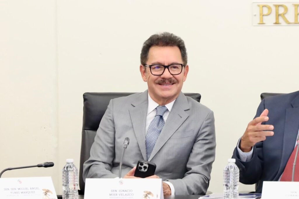 Presidente del Senado, Ignacio Mier Velasco