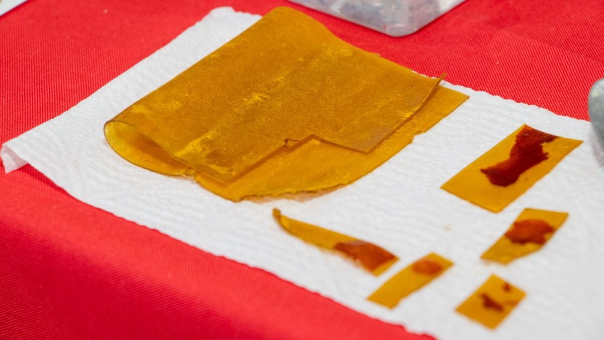 Estudiantes de la Ibero Puebla crean sensor ecológico que detecta alimentos en mal estado