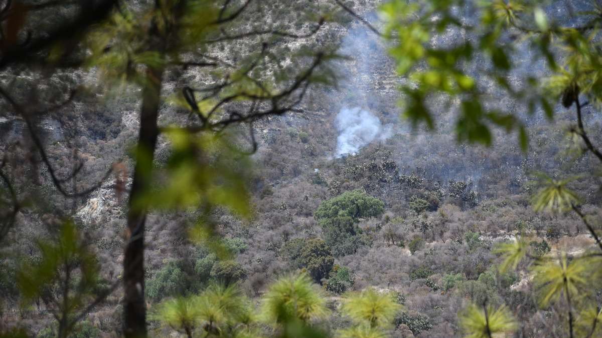 Incrementan operativos se seguridad en el Cerro de Zapotecas