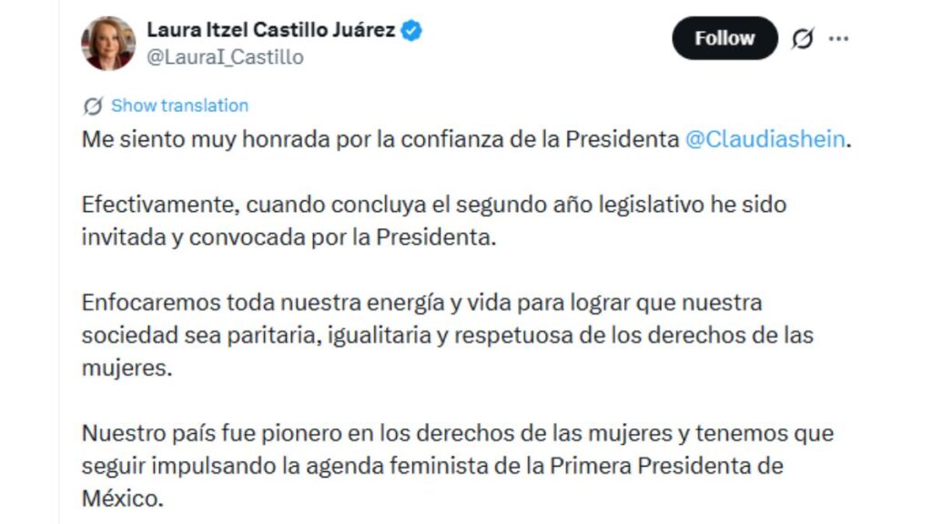 Publicación de Laura Itzel Castillo Juárez en X