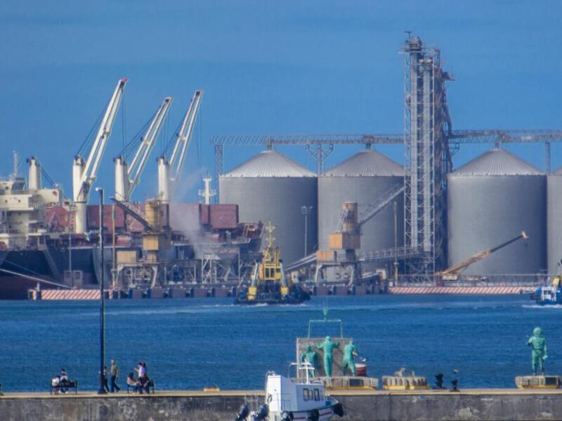 México aumenta 8.8% exportación de agroalimentarios con Ecuador; alcanza 69 mdd