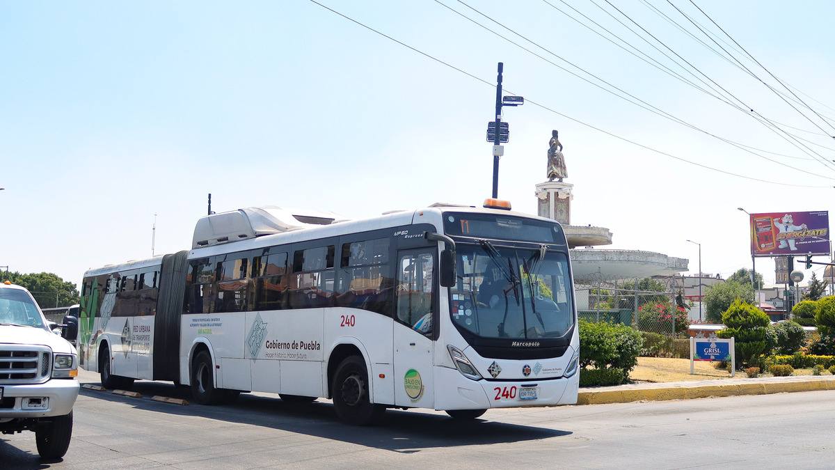 En un año, RUTA de Puebla aumenta 10% demanda de pasajeros; flota se mantiene: Inegi