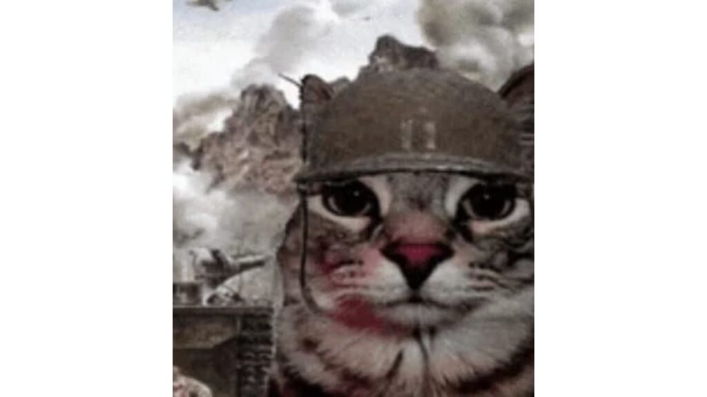 El gato existencial