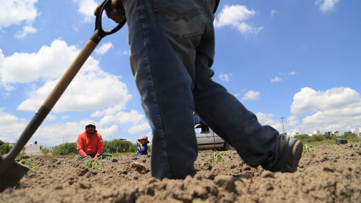Por lluvias, Sader entrega 5 mdp a productores afectados en Puebla; restan 25 mdp